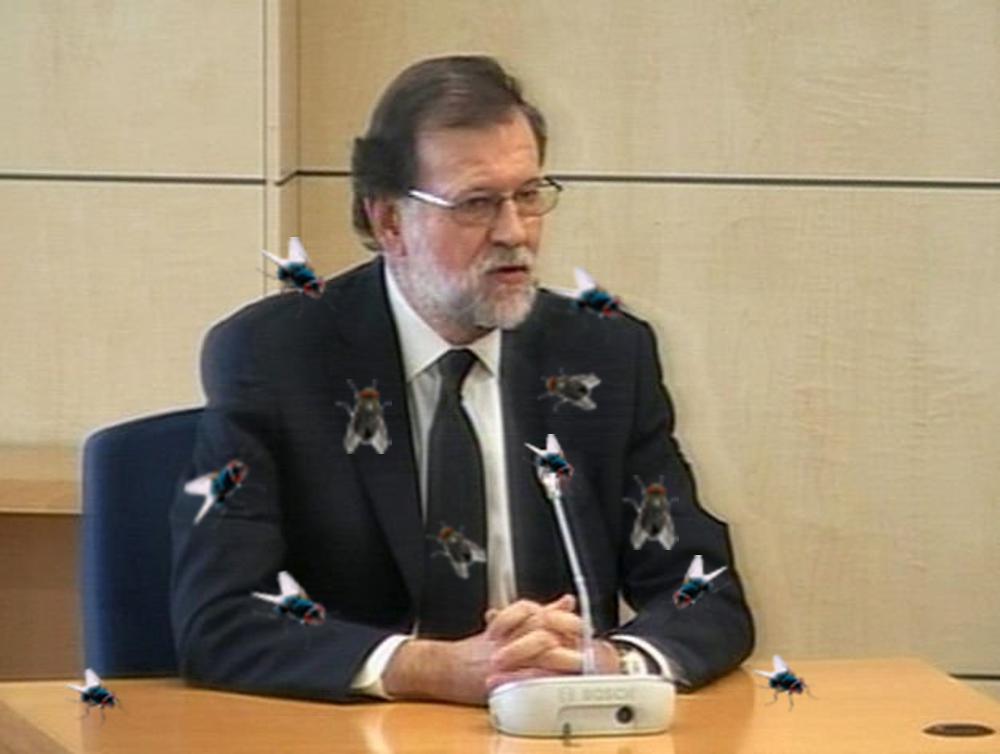 Rajoy lleno de moscas y de mierda