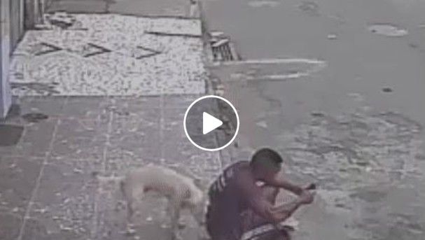Perro orinando en un hombre sentado en la calle